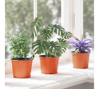 vidaXL Round Flower Pot 50 pcs Terracotta Ã 10 x 8 cm Plastic
