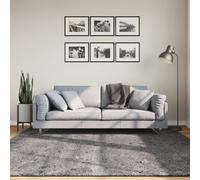 vidaXL Anthracite Area Rug - Square Low Pile - Supersoft and Fluffy - Suitable for Underfloor Heating - Non-Slip Backing - Machine Washable - Modern Design - 200x200 cm