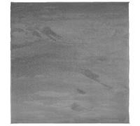 vidaXL Rug Short Pile Soft and Washable Rug Floor Mat Area Rug Anthracite
