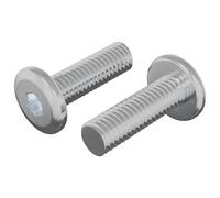 vidaXL Screw 2 pieces silver 8 x 25 mm steel, garage design, cylindrical structure, other innovative concepts for modern solutions for space use and efficient use of space