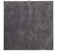 vidaXL Soft and Washable Anthracite Rug - Short Pile, Non-Slip Backing, Machine Washable, Suitable for Underfloor Heating, Modern Square Design - 160 x 160 cm