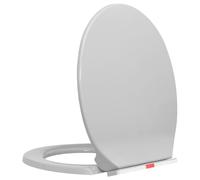 vidaXL Soft-Close Toilet Seat in Light Grey, Polypropylene Material, Easy Install with Quick-Release Mechanism for Home or Commercial Use - Oval Shaped and Scratch-
