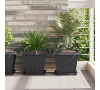 vidaXL Square Flower Pot 24 pcs Black 33 x 33 x 26 cm Plastic
