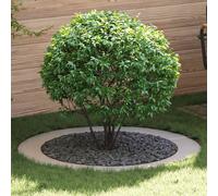 vidaXL suitable for Flat Tree Rings 5 pcs Silver Ø90 / 120 cm