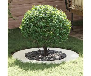 vidaXL suitable for Flat Tree Rings 5 pcs White Ã50 / 80 cm Steel