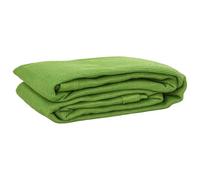 vidaXL Tent Carpet - 250x200cm HDPE Outdoor Camping/Patio Ground Tarp, Light Green, UV-Resistant with Eyelets, Washable and Customizable