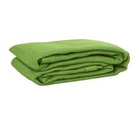 vidaXL Tent Carpet 250x500 cm HDPE Rectangular Ground Covering- UV Resistant, Light Green Patio Rug with Eyelets, Cuttable Outdoor Camping Mat