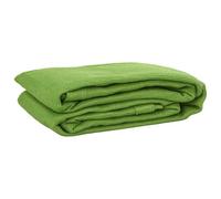 vidaXL Tent Carpet Outdoor Camping Tarp Ground Cover Light Green HDPE 300x400 cm - Durable, UV Resistant, Cuttable