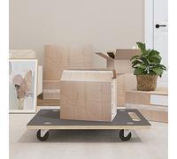 Vidaxl Dolly Trolleys 2 Pcs Rectangular 80X55X11.5 Cm, Grey