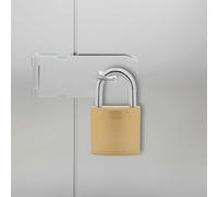 vidaXL U Lock with Keys 12 pcs Brass Iron