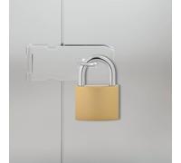 vidaXL U Lock with Keys, 12 Pieces, Brass Iron, Robust, Modern Rectangle Lock, Rust Resistant, Weatherproof, Heavy Security for Cupboards, Storage Rooms, Lockers