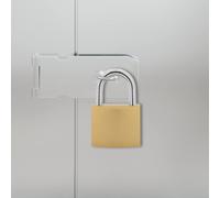vidaXL U Lock with Keys 6 pcs Brass Iron