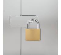 vidaXL U Lock with Keys Brass 6 x 2 x 9.1 cm Iron
