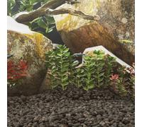 vidaXL Volcanic Rocks 10 kg Black 3-5 cm