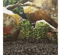 vidaXL Volcanic Rocks 25 kg Black 3-5 cm