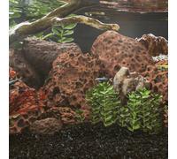 vidaXL Volcanic Rocks 25 kg Red 10-30 cm