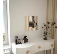 vidaXL Wall Mirror, 40x40 cm Square Glass Mirror, Contemporary Silver Decor for Bedroom, Living Room, Dressing Room