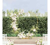 vidaXL Wedding Arch Gold 195 x 35 x 211 cm Steel