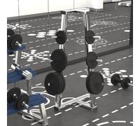 vidaXL Weight Plate 20 kg Cast Iron