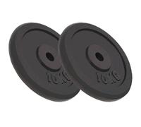 vidaXL Cast Iron Weight Plates - 2 pcs of 10 kg Each, Coated with Scratch-Resistant Enamel, Ideal for Barbells/Dumbbells/Curl Bars - Perfect for Home & Gym Use