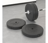 Vidaxl Weight Plates 2 Pcs 30 Kg Cement, Black