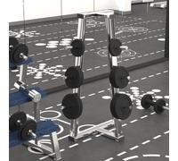 vidaXL Weight Plates 6 pcs 30 kg Cast Iron