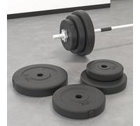 vidaXL Weight Plates 6 pcs 30 kg Cement