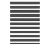 vidaXL Zebra Blind Black 100x100 cm Fabric Width 95.9 cm Polyester