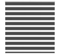 vidaXL Zebra Blind Black 145x150 cm Fabric Width 140.9 cm Polyester, Black