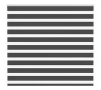 vidaXL Zebra Blind Black 155x150 cm Fabric Width 150.9 cm Polyester
