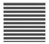 vidaXL Zebra Blind Black 160x100 cm Fabric Width 155.9 cm Polyester