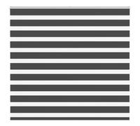 vidaXL Zebra Blind Black 160x150 cm Fabric Width 155.9 cm Polyester