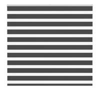 vidaXL Zebra Blind Black 165x100 cm Fabric Width 160.9 cm Polyester
