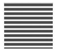 vidaXL Zebra Blind Black 165x100 cm Fabric Width 160.9 cm Polyester
