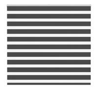 vidaXL Zebra Blind Black 165x100 cm Fabric Width 160.9 cm Polyester