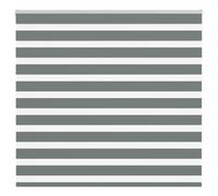 vidaXL Zebra Blind Dark Grey 155x150 cm Fabric Width 150.9 cm Polyester