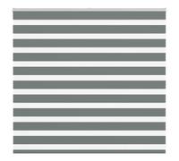 vidaXL Zebra Blind Dark Grey 160x100 cm Fabric Width 155.9 cm Polyester