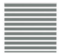 vidaXL Zebra Blind Dark Grey 160x100 cm Fabric Width 155.9 cm Polyester
