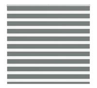 vidaXL Zebra Blind Dark Grey 160x150 cm Fabric Width 155.9 cm Polyester