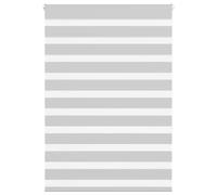 vidaXL Zebra Blind Light Grey 100x150 cm Fabric Width 95.9 cm Polyester