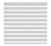 vidaXL Zebra Blind Light Grey 155x150 cm Fabric Width 150.9 cm Polyester