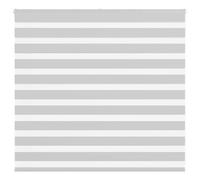 vidaXL Zebra Blind Light Grey 160x100 cm Fabric Width 155.9 cm Polyester