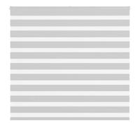 vidaXL Zebra Blind Light Grey 160x150 cm Fabric Width 155.9 cm Polyester
