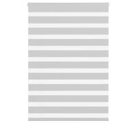 vidaXL Zebra Roller Blind - Light Grey 115x100 cm - Fabric 100% Polyester - Adjustable Privacy & Light Control for Home & Office