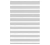 vidaxl zebra roller blinds - light grey - 100x150cm polyester fabric - customizable light control
