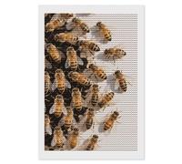 VIDI Bees 5D Diamond Painting Kits for Adults DIY Full Round Drill Diamond Art with Complete Tools Beginner Friendly Craft for Stress Relief, Home Wall Decor and Gift Idea 8"x12"