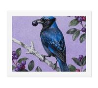 VIDI Paint by Numbers Kit Blue Jay with Bilberries Digital Oil Painting for Adults DIY Pattern Paint by Number for Beginner Hanging Canvas Oil Painting Kit for Wall Decor 30x40cm