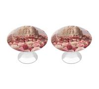 VIDI Stainless Steel Cabinet Knobs - Rose Flower Sea with Castle 1.1 Inch Round Drawer Handles, Aluminum Alloy Furniture Pulls for Kitchen Cabinets, Dressers, Closet Hardware (2-Pack)