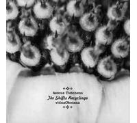 Vidna Obmana & Asmus - The Shifts Recyclings