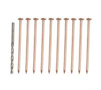 Vidonergy Copper Stump Killer Nails 3.15 Inches for Tree Root Removal, 10 Pack with Drill Bit, Pure Copper Hardware Spikes to Kill Unwanted Trees and Stumps